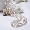 White Freshwater Pearl Necklace AAA Quality