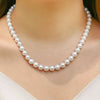 White Round Freshwater Pearl Necklace AAA Quality